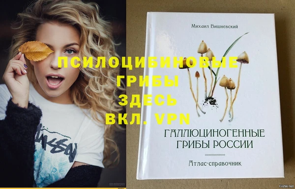герыч Абинск
