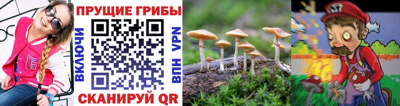 Галлюциногенные грибы мицелий  гидра вход  Горячеводский 
