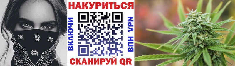 Каннабис OG Kush  Горячеводский 